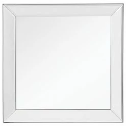 Camden Isle Dartmouth 19.5 In. X 19.5 In. Casual Square Classic Accent Mirror Lighting & Mirrors