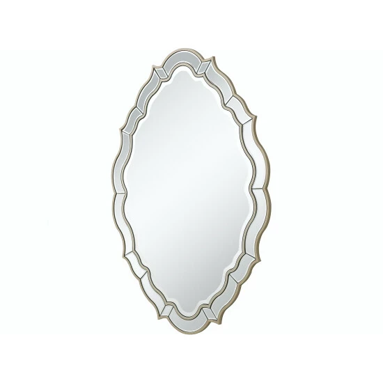 Camden Isle Eleanor 30 In. X 42 In. Casual Oval Framed Classic Accent Mirror Lighting & Mirrors Champagne - Image 2