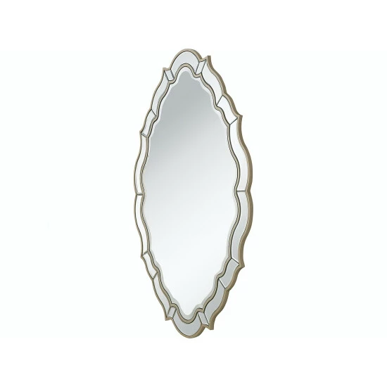 Camden Isle Eleanor 30 In. X 42 In. Casual Oval Framed Classic Accent Mirror Lighting & Mirrors Champagne - Image 3