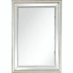 Camden Isle Morgan 31.2 In. X 44 In. Casual Rectangle Framed Classic Accent Mirror Lighting & Mirrors Silver